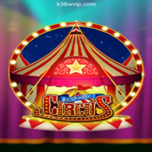EcstaticCircus: Dive into Daily Excitement and Fun